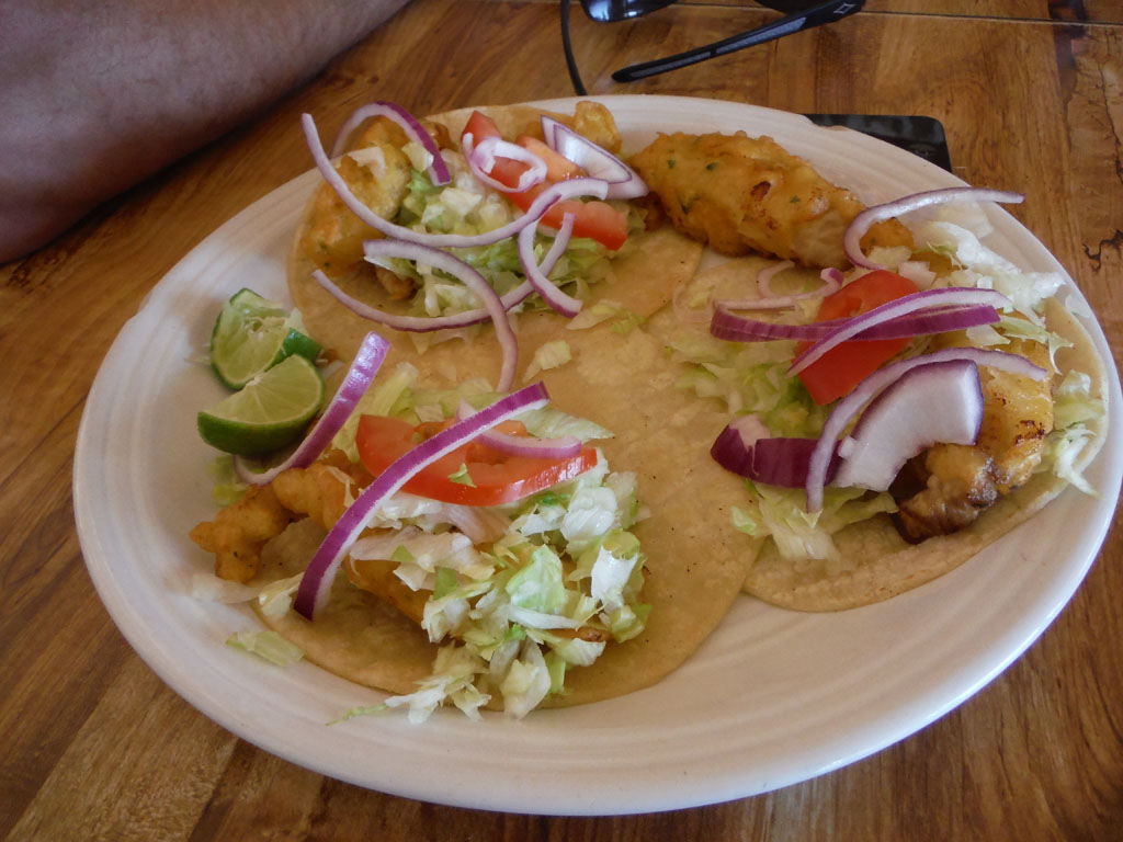 Bakersfield-To-Baja-Mexico-Alfonsinas-Gonzaga-Bay-Fish-Tacos.jpg