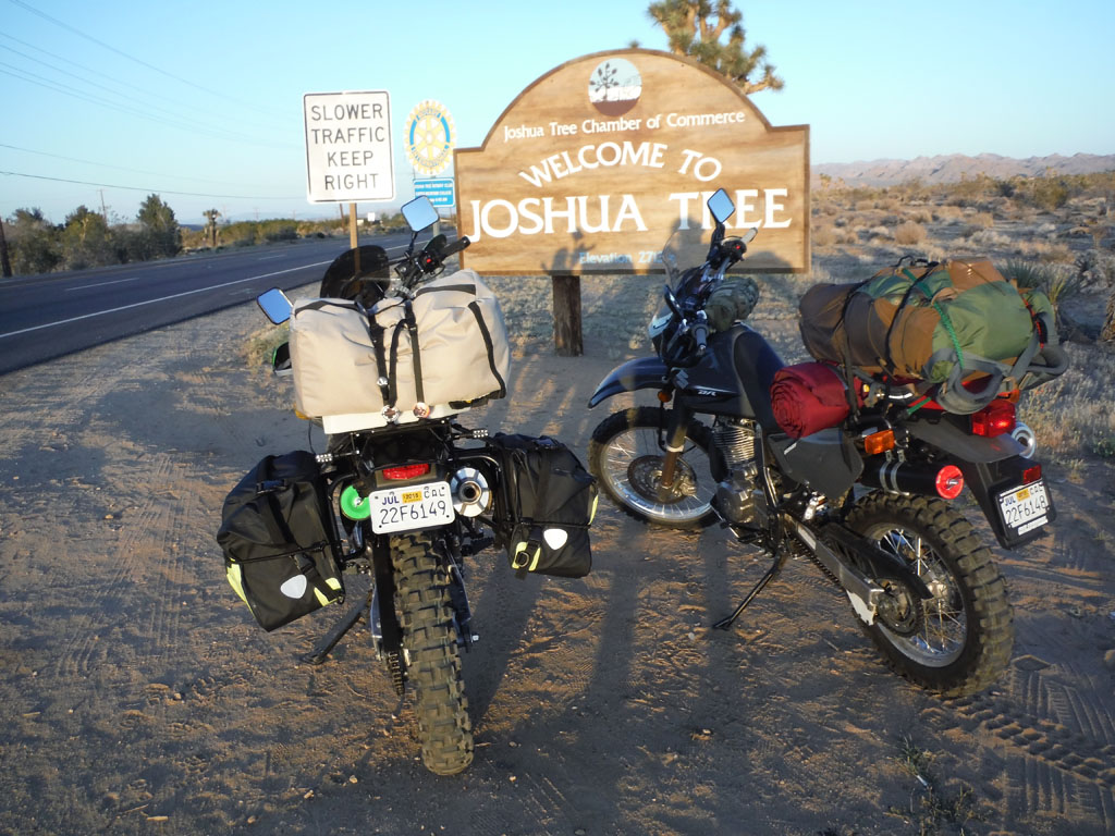 Bakersfield-To-Baja-Mexico-Joshua-Tree.jpg
