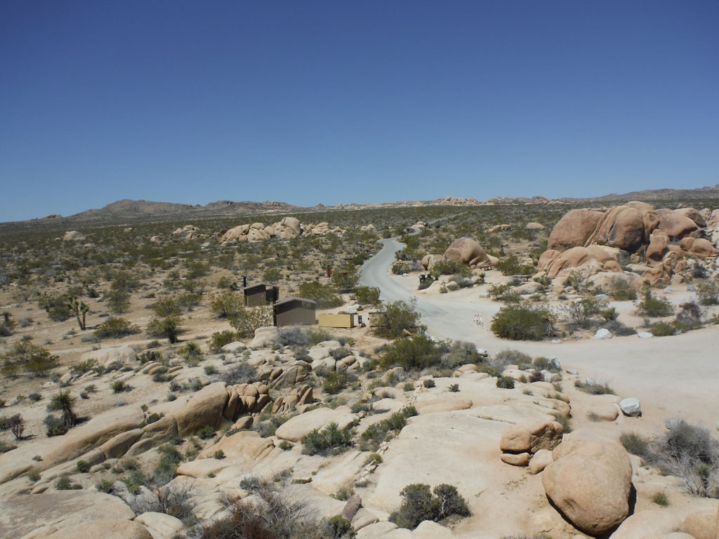 Bakersfield-To-Baja-Mexico-Joshua-Tree-Road.jpg