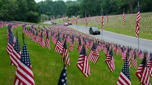 dc0ca032c63ec546e6b18083f5f04b43.jpg