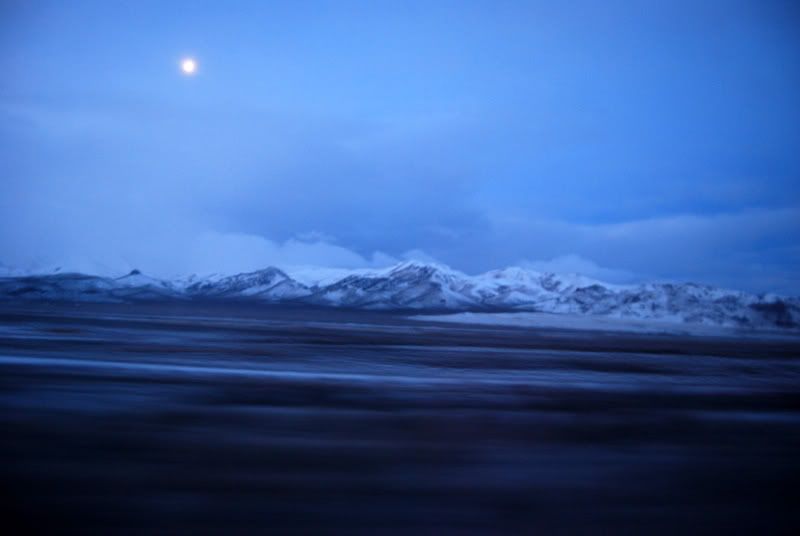 DSC_0237.jpg