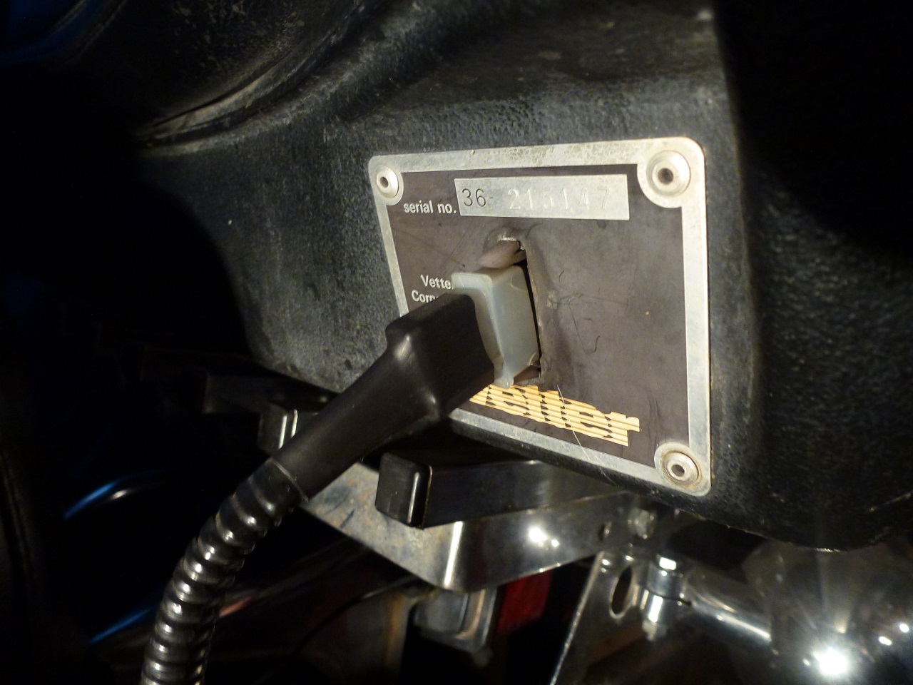 Trunk & plug.JPG