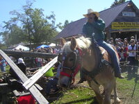 Lochapolka S sopping 2012 and Lake Martin 529 Ride October 2012 006.jpg