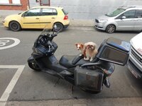 IMG_20210709_182103784.jpg
